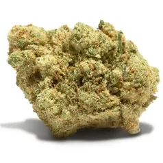 Yuba Blue Dream Cannactiva cogollo