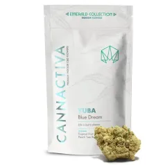 Yuba Blue Dream Cannactiva embalaje