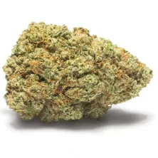 TRINITY Gelato 33 CBD 25 % Cannactiva | ZentralCBD