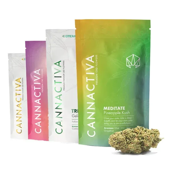 Pack degustación flores CBD Cannactiva calidad superior
