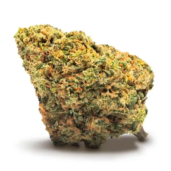 Maple (Jack Herer) CBD Cannactiva flor