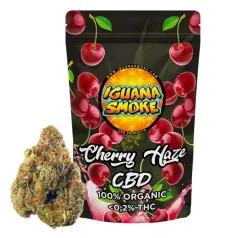 Flor CBD Cherry Haze Greenhouse Iguana Smoke