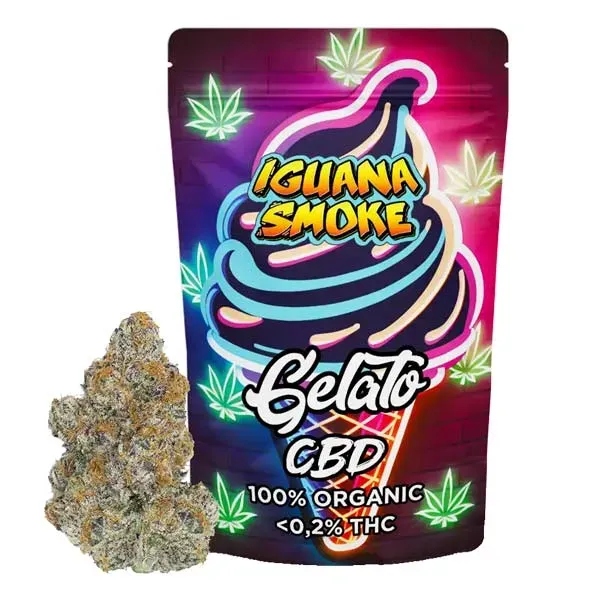 Flor CBD Gelato Greenhouse Iguana Smoke