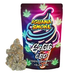 Flor CBD Gelato Greenhouse Iguana Smoke