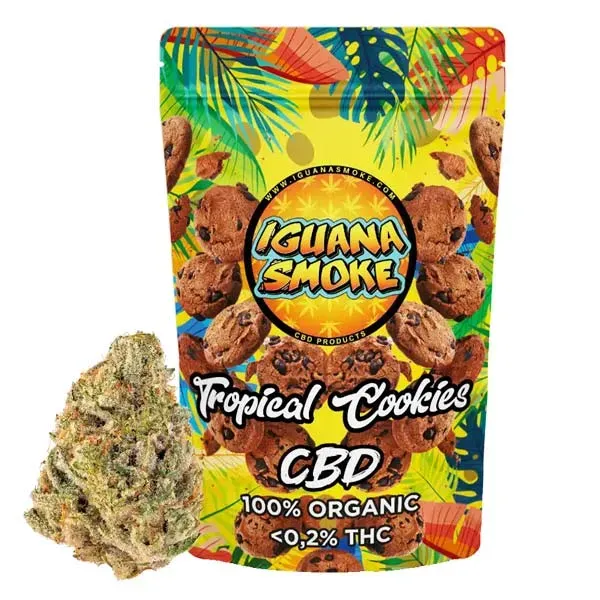 Flor CBD Tropical Cookies Greenhouse Iguana Smoke
