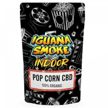 Pack Maxi Mini Cogollos CBD 60 g | Small Buds | ZentralCBD