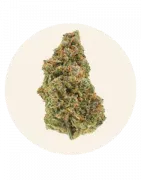 Flores CBD legales | Interior y exterior de alta calidad