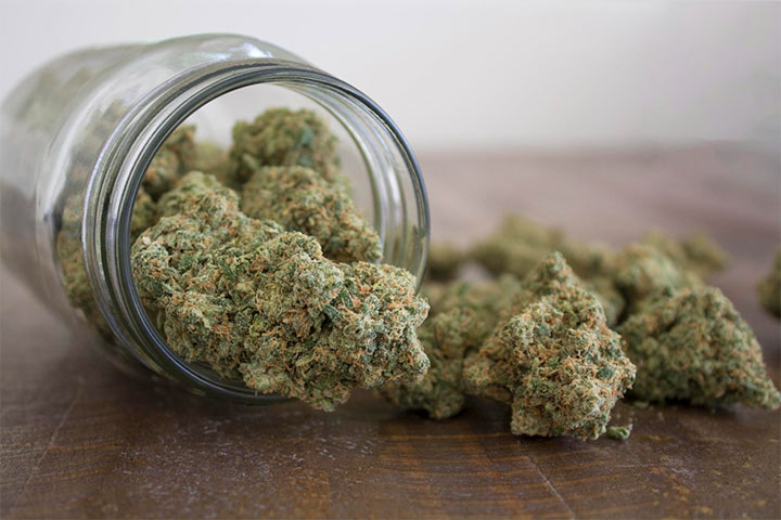 Conservación de flores cbd en estado optimo.