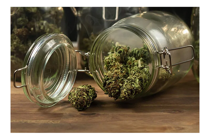 Cómo conservar flores y resinas de CBD sin perder aroma
