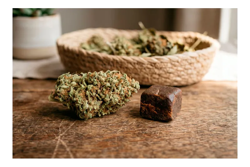 Flores y resinas de CBD: Guía sobre porcentajes, genética y ratios de THC
