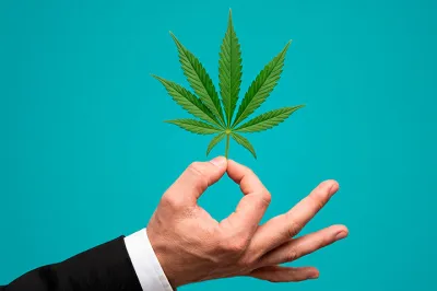CBD: 6 áreas donde se está investigando su potencial