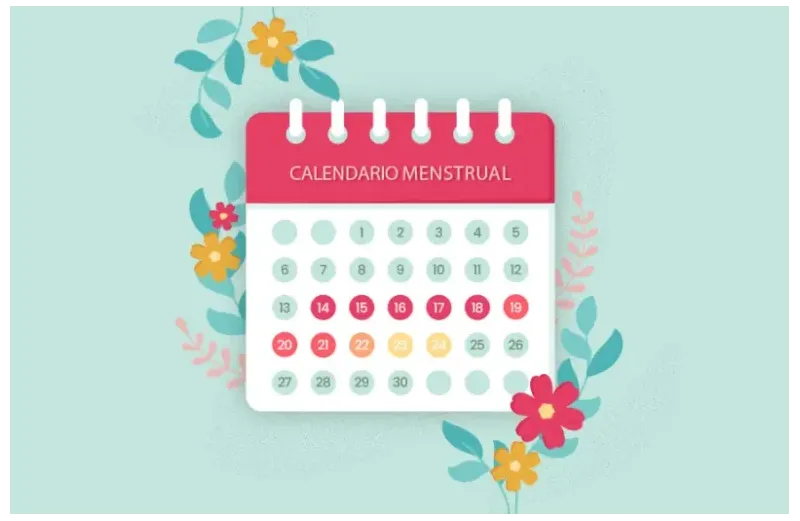CBD y Ciclo Menstrual: Guía sobre Equilibrio y Bienestar
