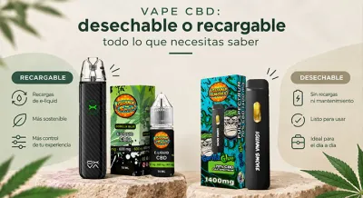 Desechable vs Recargable: ¿Qué vaper CBD elegir?