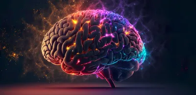 CBD en el cerebro. ¿cómo actúa el cannabidiol?
