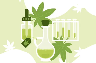Efecto séquito en el cannabis: El fenómeno de la sinergia molecular